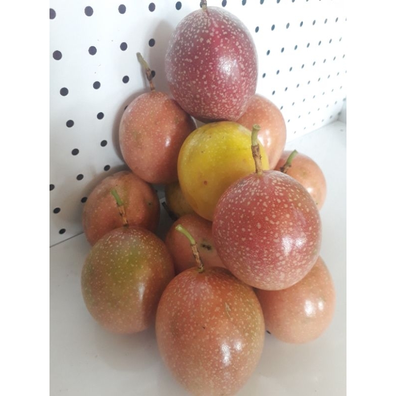 

Buah Markisa /Grade A/Buah Markisa merah/Buah Markisa Masam/Markisa Segar/Markisa Petik Pohon