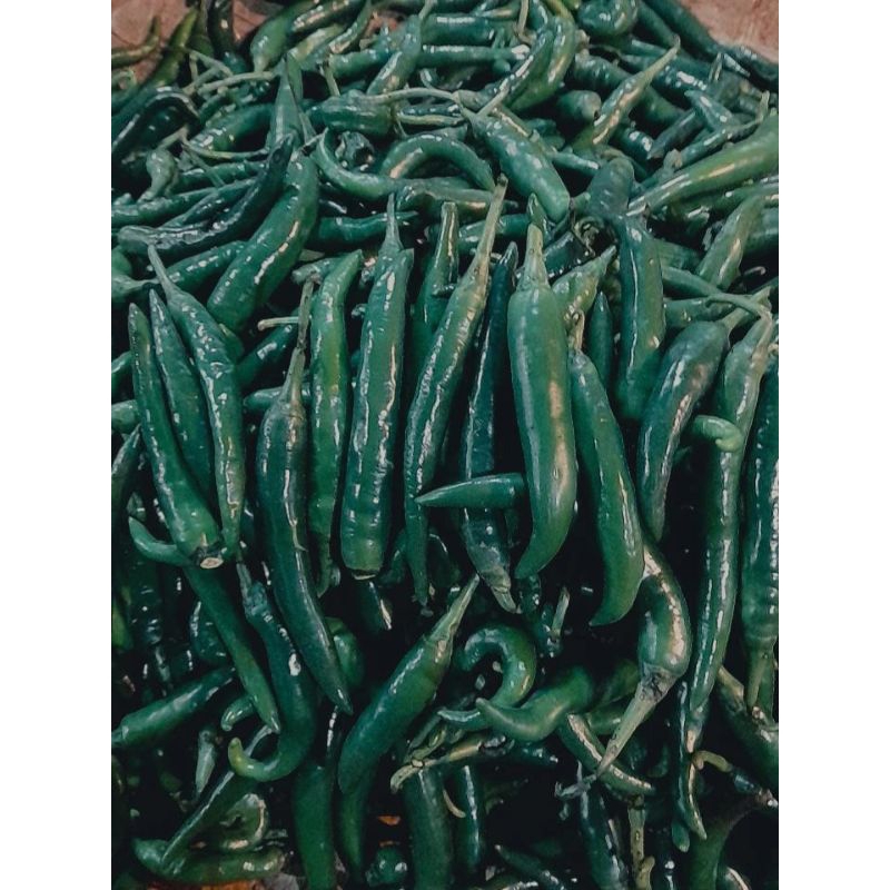 

Cabe ijo besar 250gr/500gr