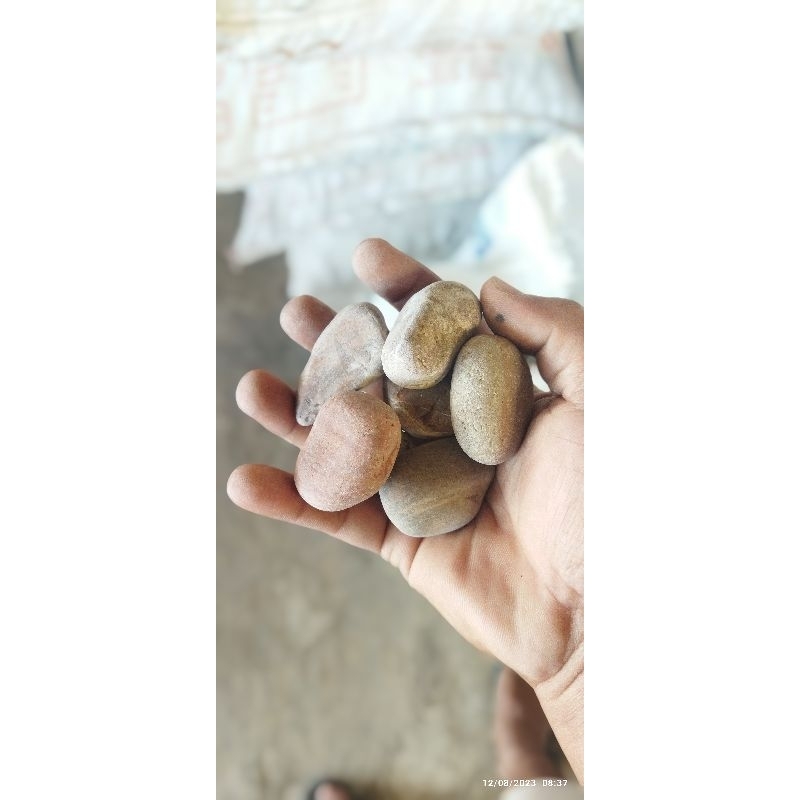 BATU KORAL SIKAT / BATU KORAL KARPOT