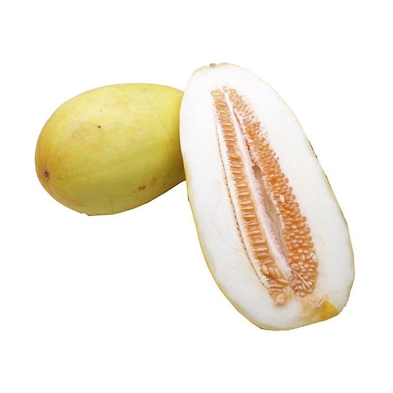 

timun suri , malewa