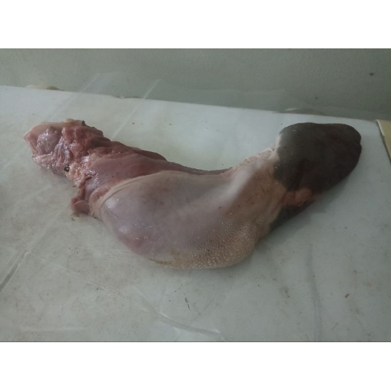 

lidah sapi pilihan