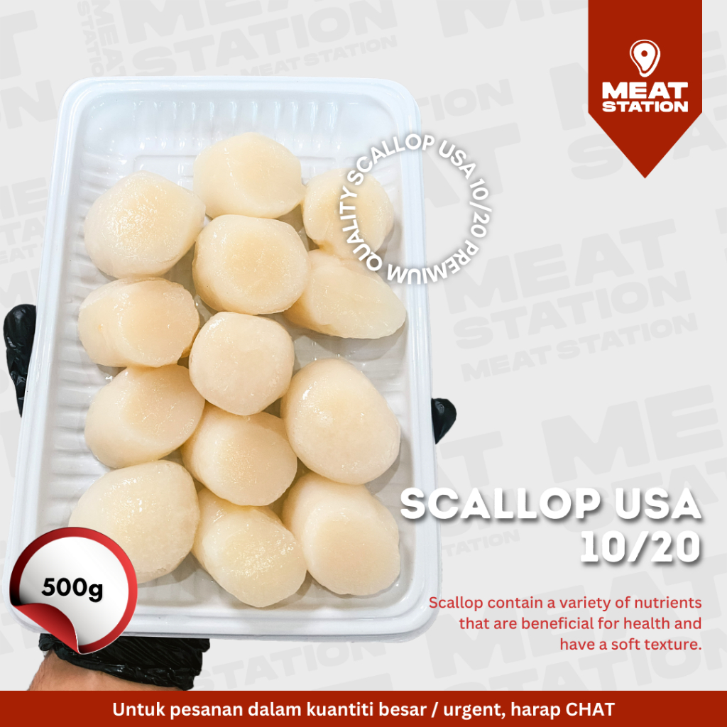 

Scallops USA 10/20 500g / Scallops Import / Frozen