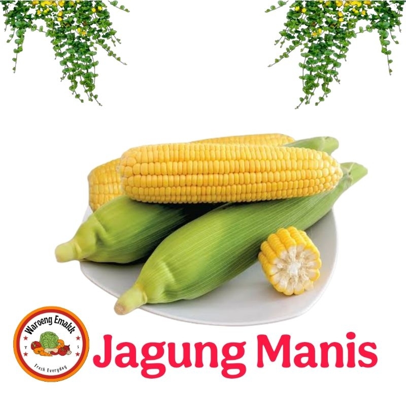 

JAGUNG MANIS