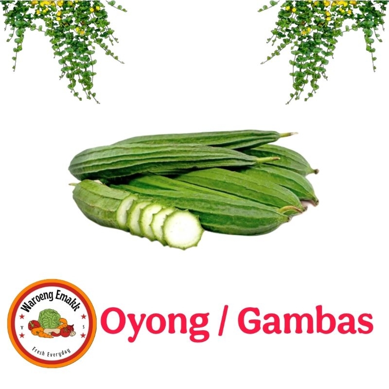 

OYONG GAMBAS