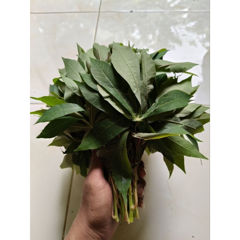 

1 ikat sayur an daun singkong segar 400gr