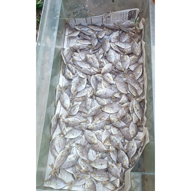 

Ikan Asin (GEREH) Labuan Bajo