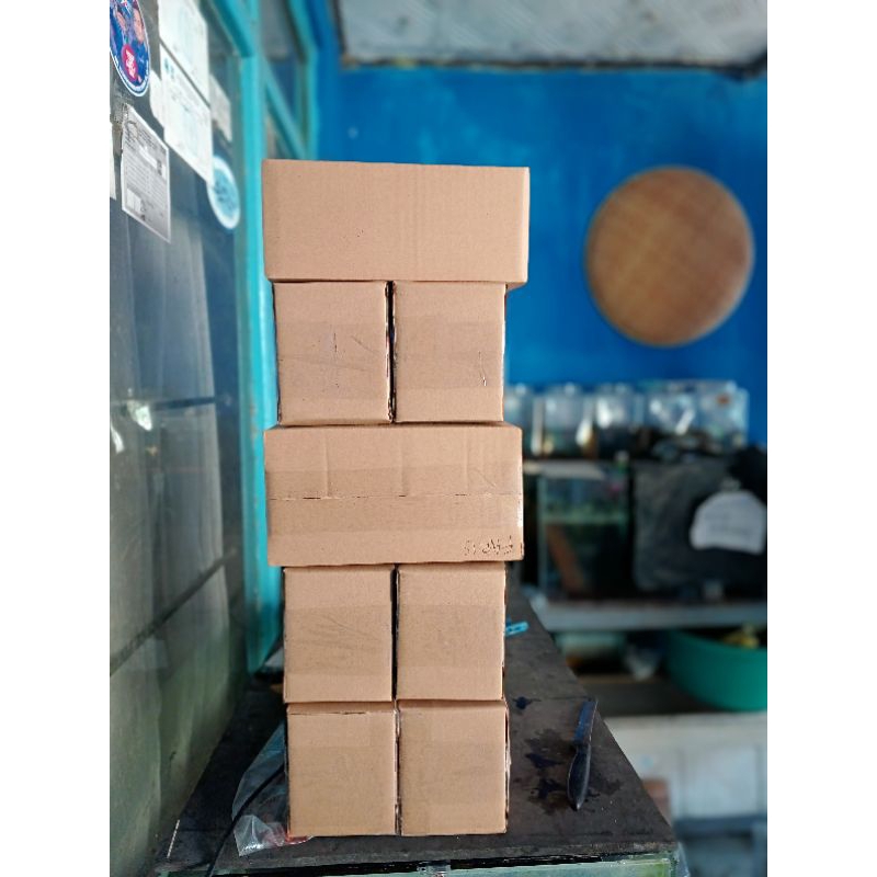 

dus packing cb