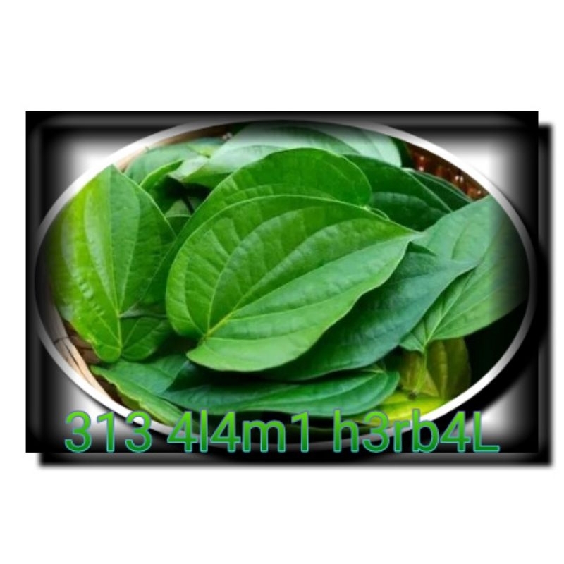 

50 lmbr untuk kewanita'n freshh segar dadakan