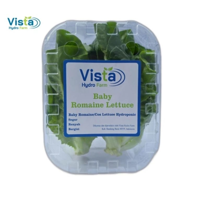 

Baby Romaine Cos Lettuce 250 Vista Hydro Farm