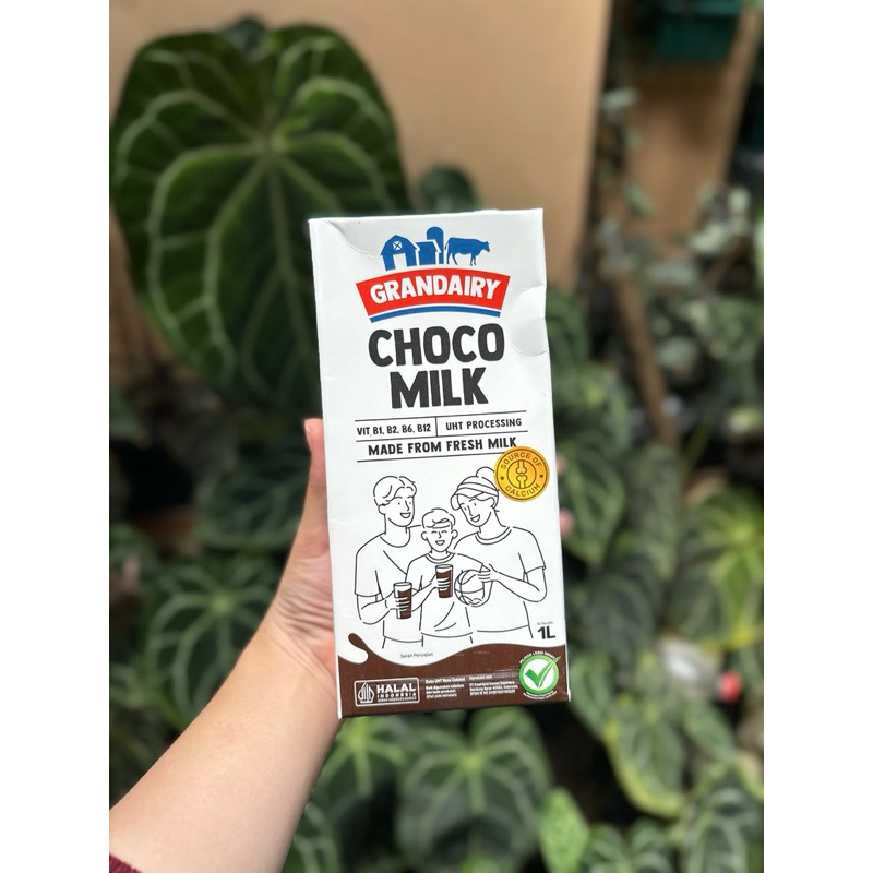 

SALEEE! Susu Grandairy Chocolate Full Cream | GRANDAIRY UHT