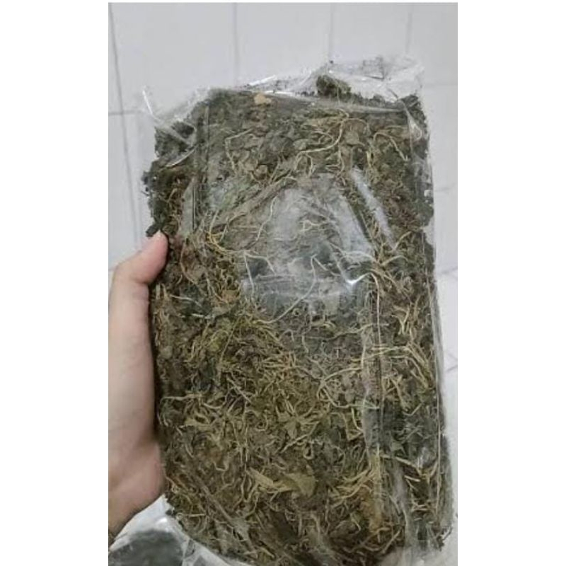 

Sirih Cina Kering Asli Matahari Premium 60 Gram Obat Herbal Tradisional Murah