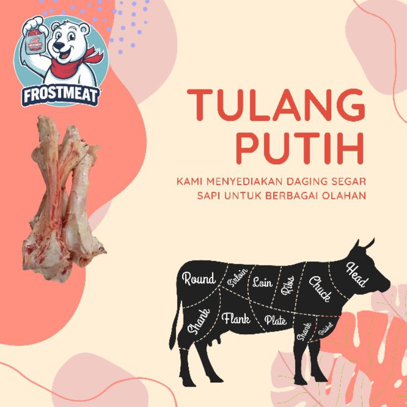 

[SAPI] Tulang putih sapi - Kaldu Sapi per biji