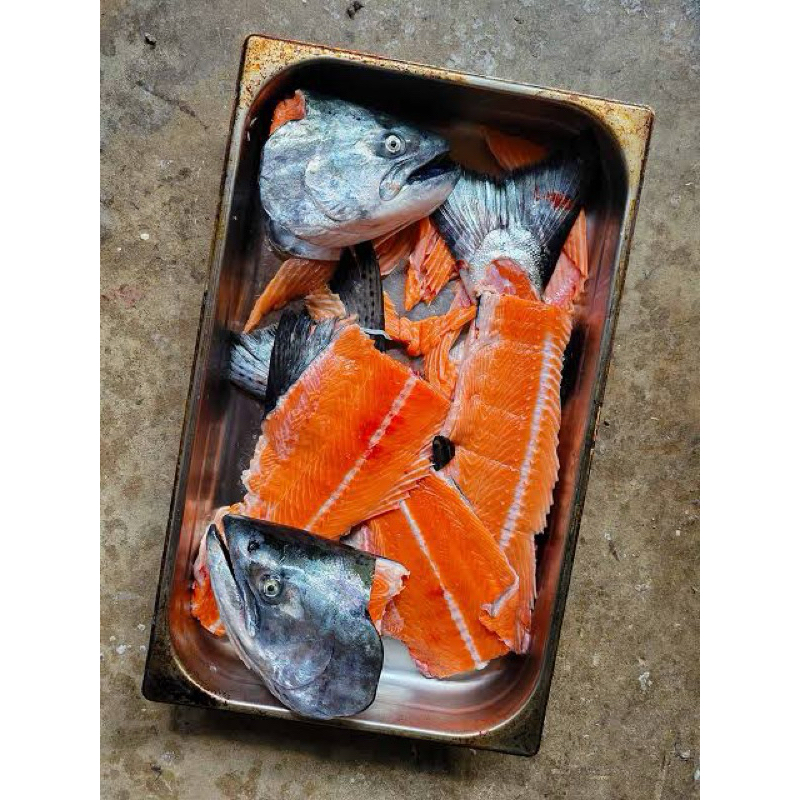 

[IKAN SEGAR] Norwegia Kepala Tulang Rahang Salmon 1kg