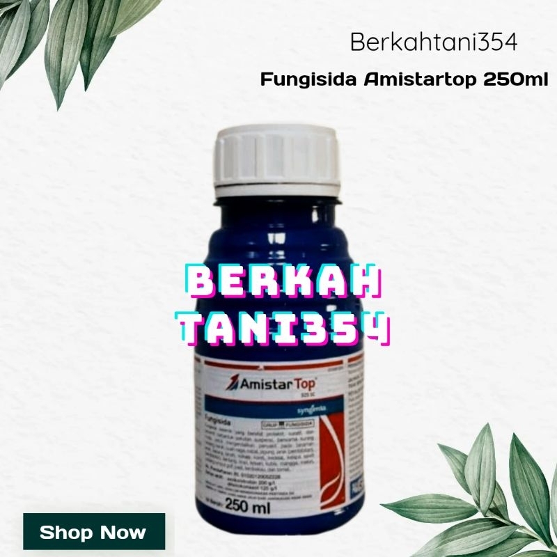 Fungisida Amistartop 250ml obat jamur tanaman AMISTAR TOP 250ML