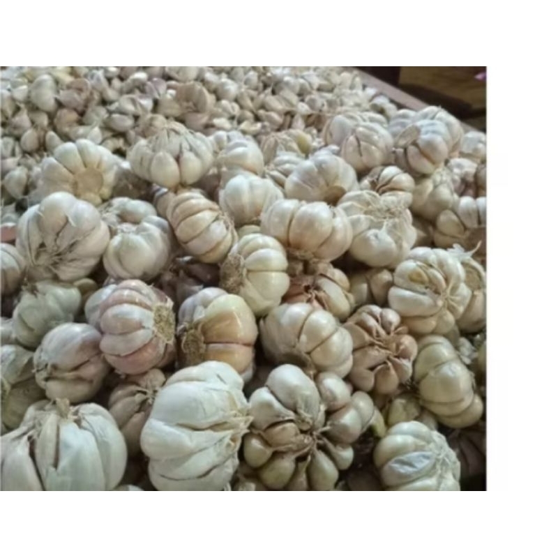Bawang Putih 1 kg
