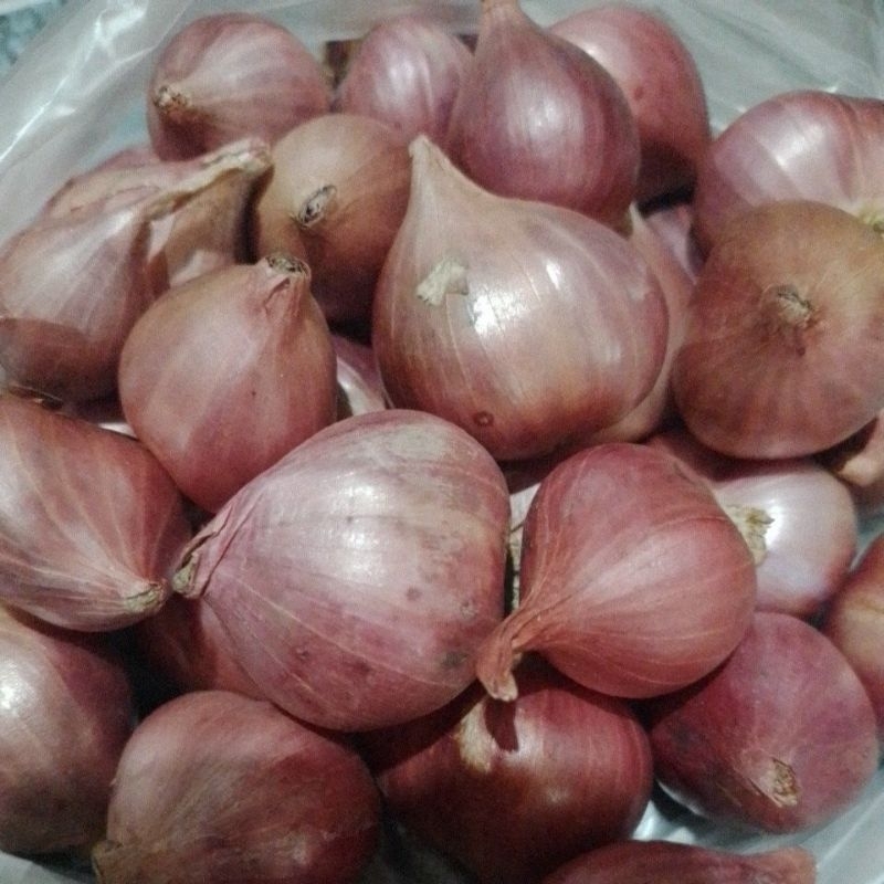 BAWANG MERAH 100 GRAM/1 ons