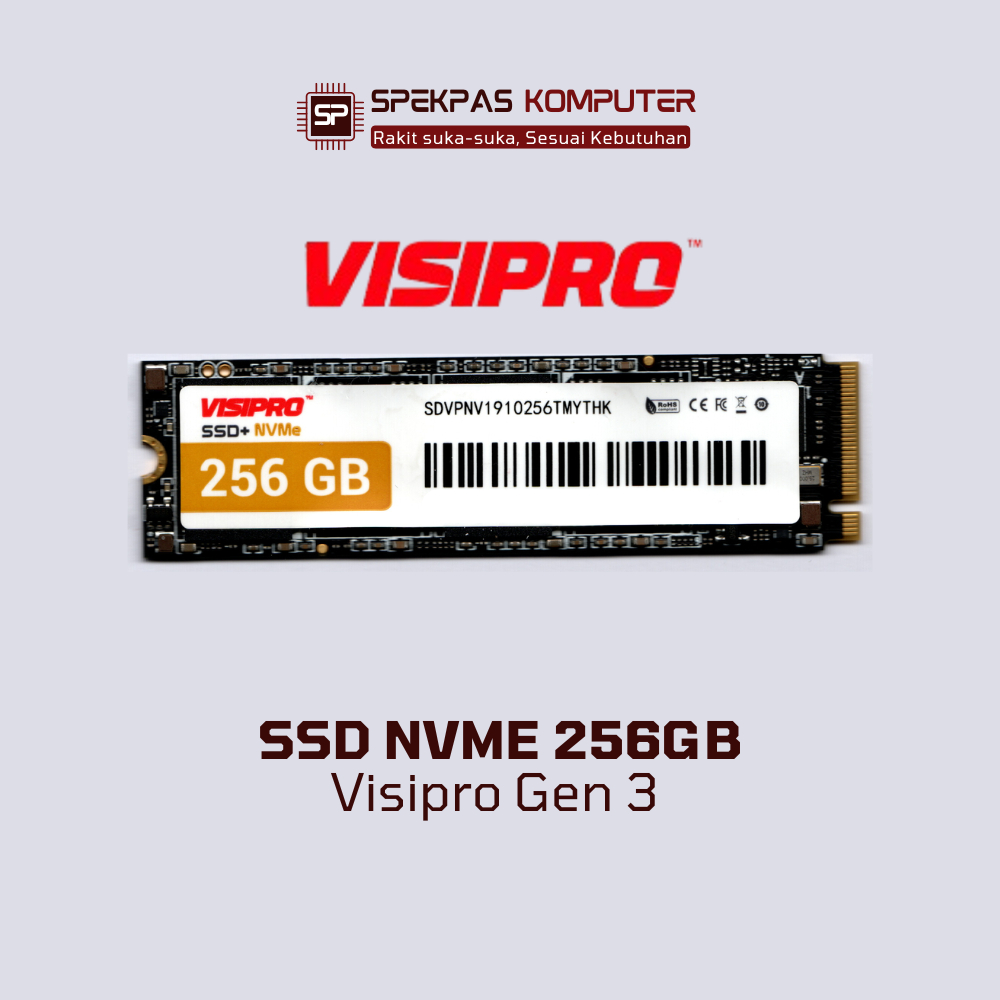 SSD NVME 256GB Gen 3 Visipro