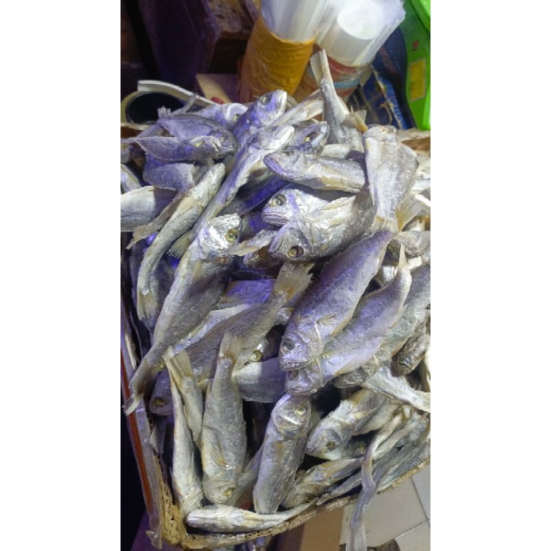 

ikan kepala batu 1kg
