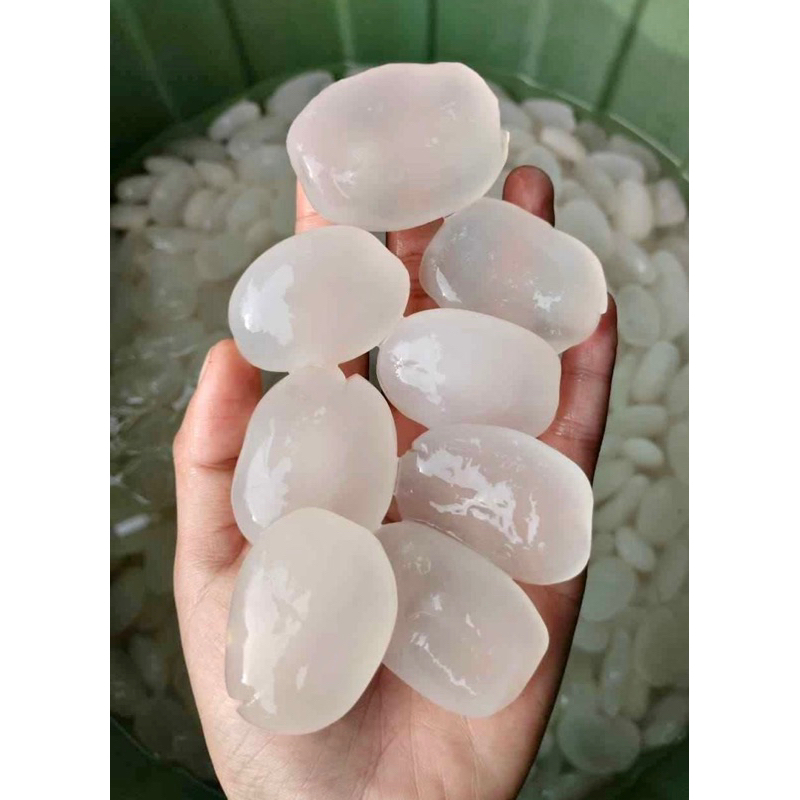 

KOLANG KALING 1 kg