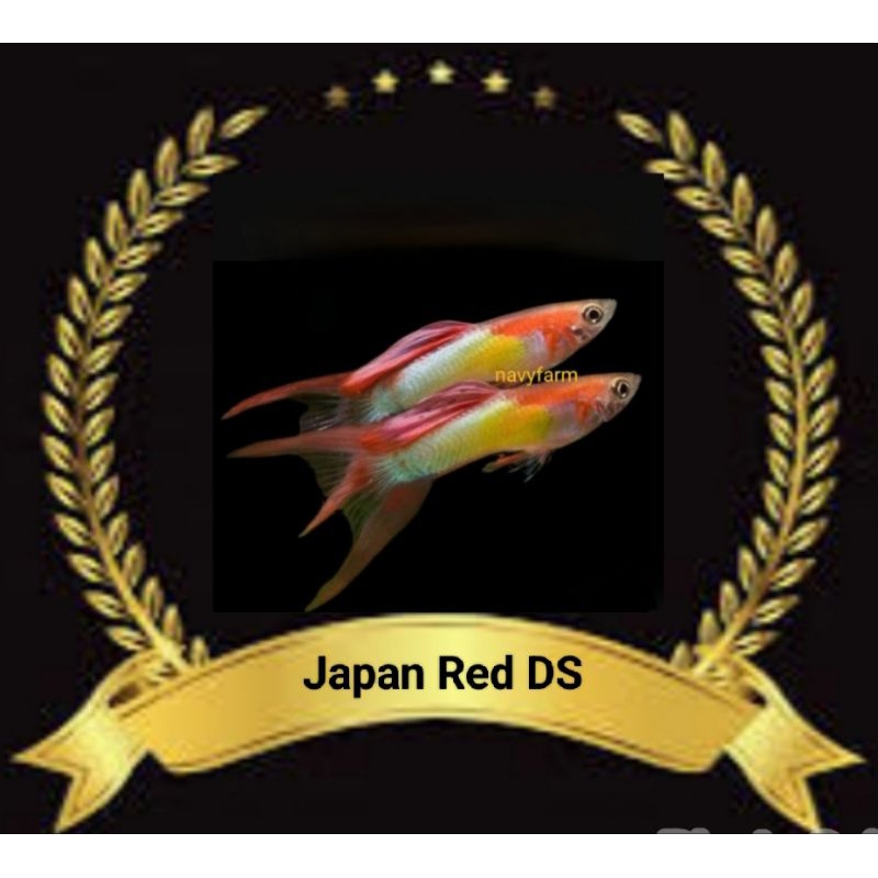 

STIKER UNIK GUPPY JAPAN RED DS