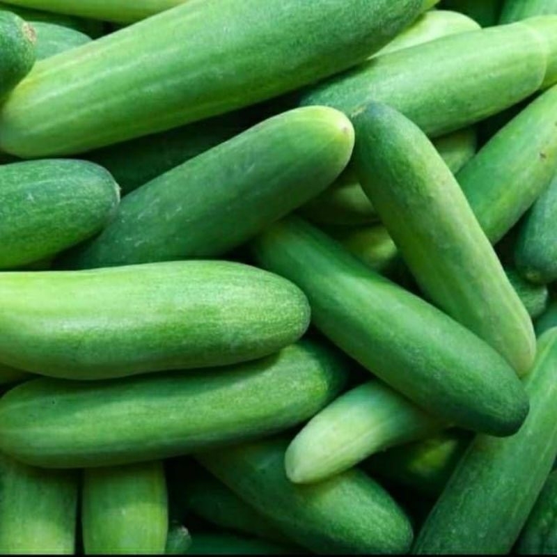 

Timun / mentimun 250gr