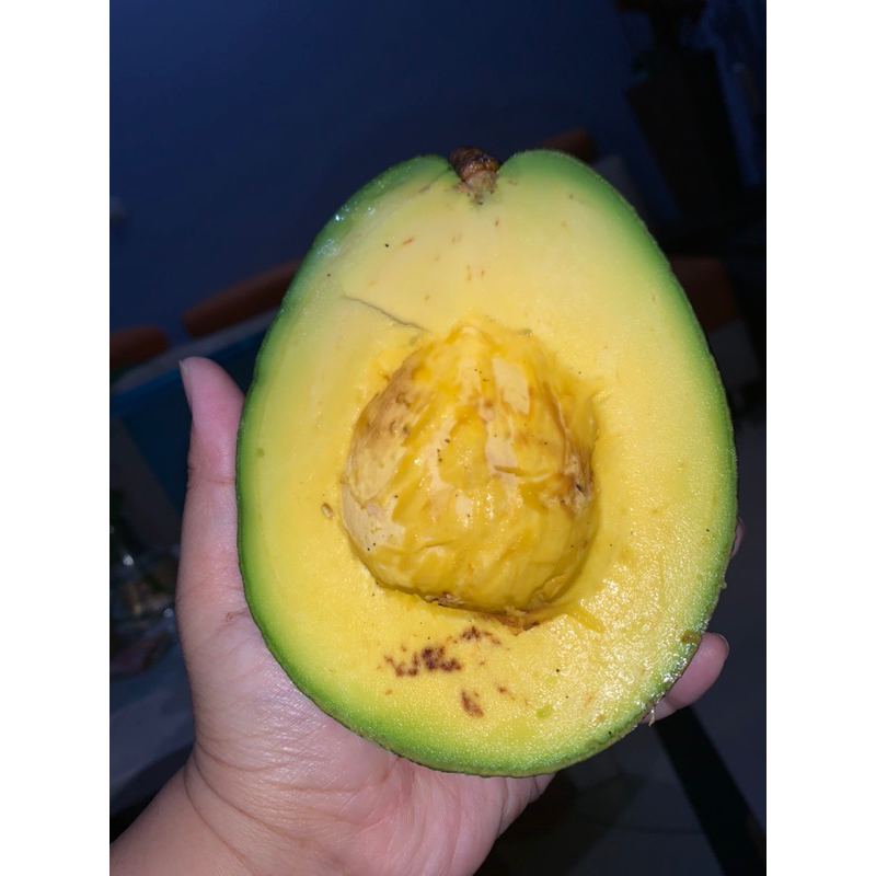 

ALPUKAT MARKUS LEGIT !