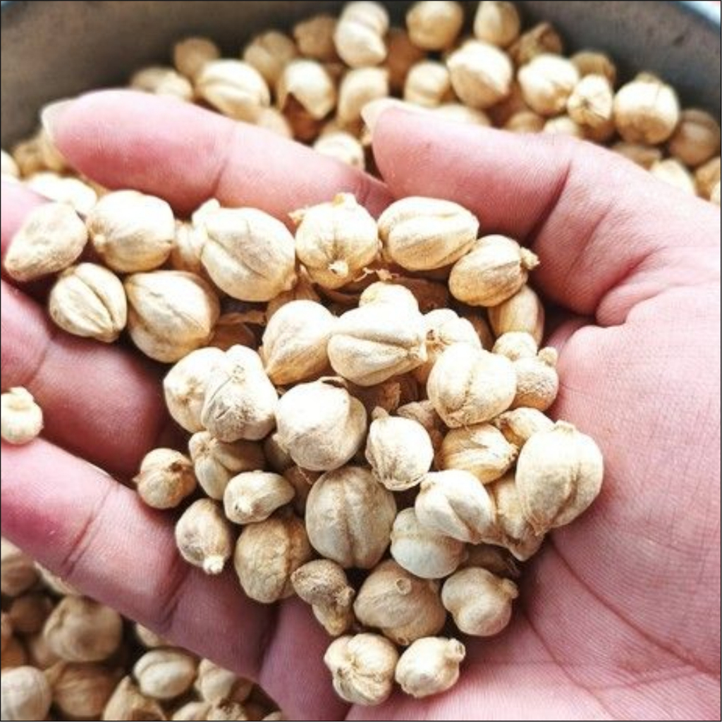 

KAPULAGA KERING 250 GRAM / KAPULAGA SUPER DAN BERSIH
