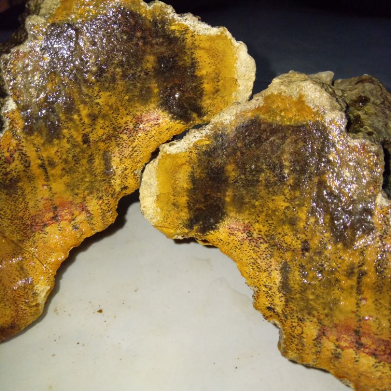 Original Batu Motif Bulu Macan Sumatera Unik & Langka