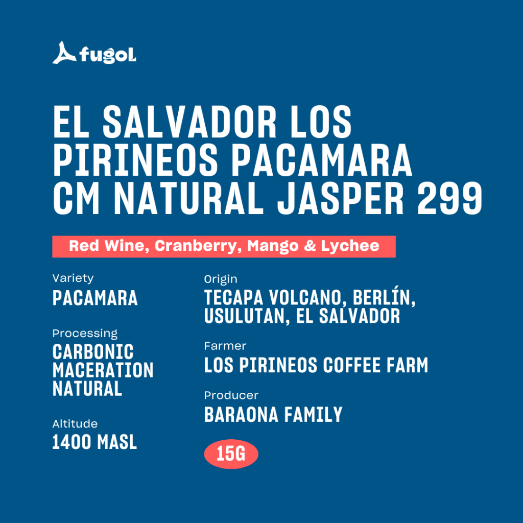 

El Salvador Los Pirineos Pacamara CM Natural Jasper 299 Specialty Arabica Coffee