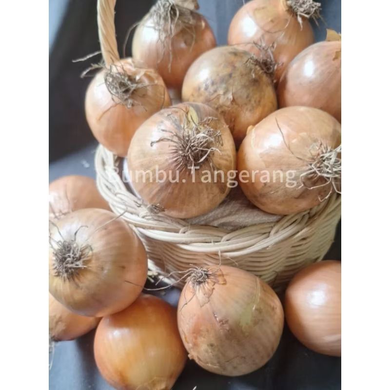 

Bawang Bombay 1kg