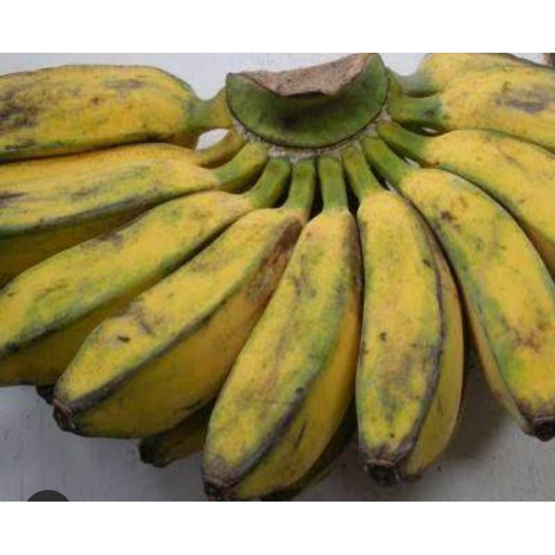 

PISANG KEPOK MERAH 1KG