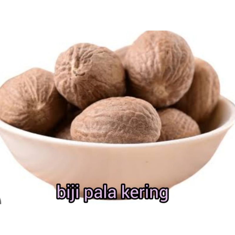 

BIJI PALA TUA RP 12.000 / 100 GRAM