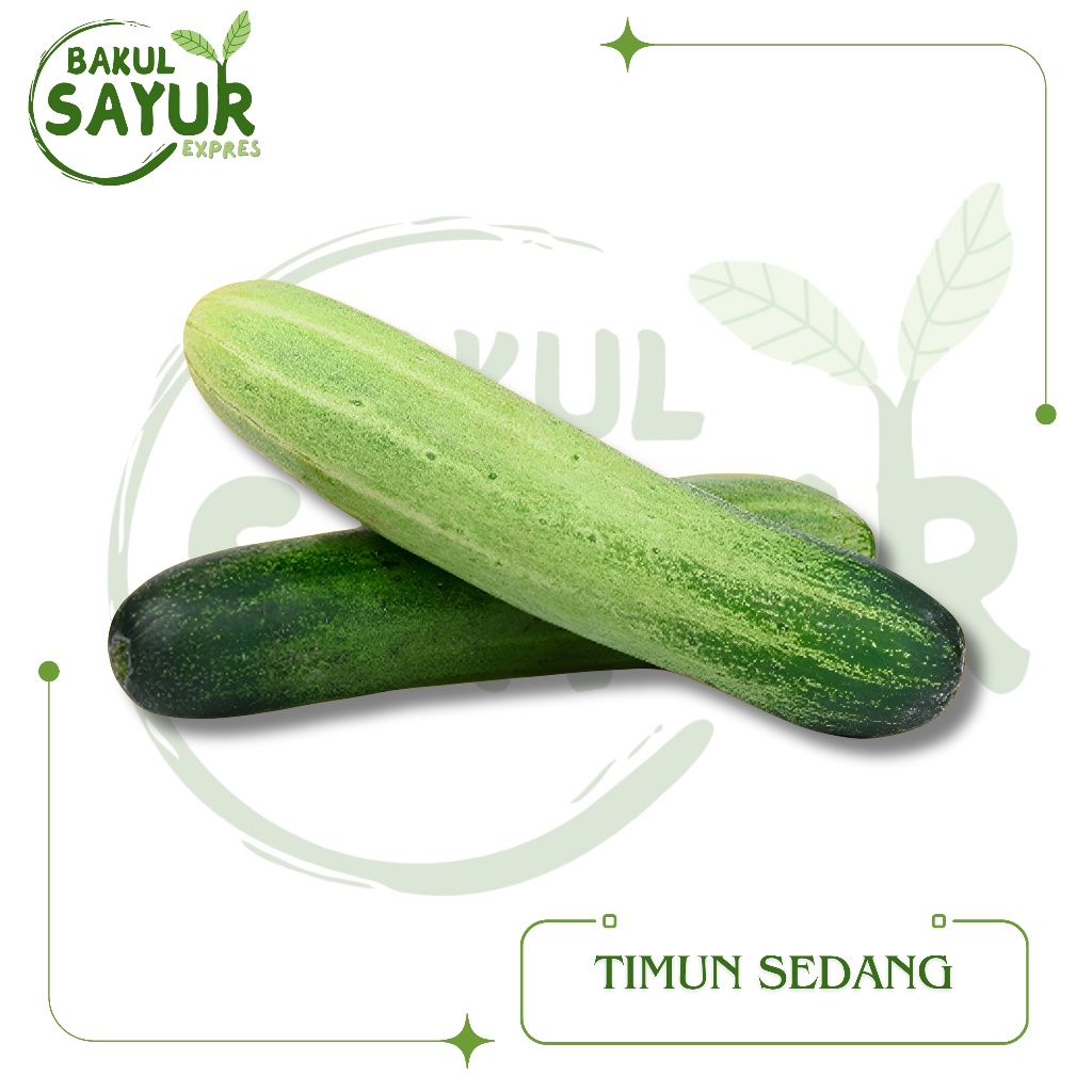 

Timun Lokal Sedang Segar 500gr