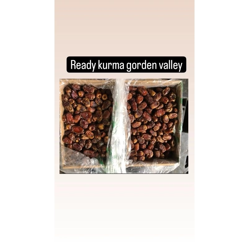 

Kurma Golden Valley