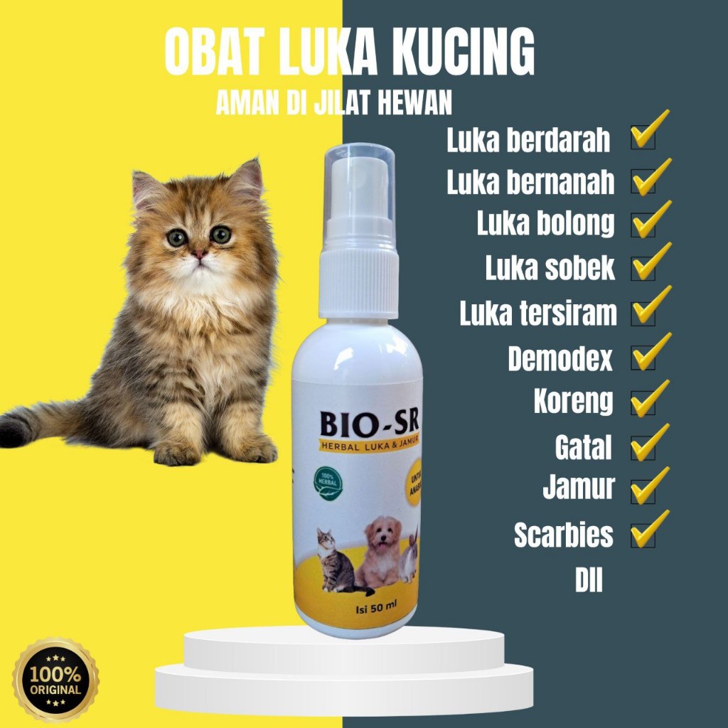 Obat Luka Kucing Spray Mengobati Koreng Ampuh Untuk Borok Bernanah Kulit Basah Bolong Sobek Bio Sr B