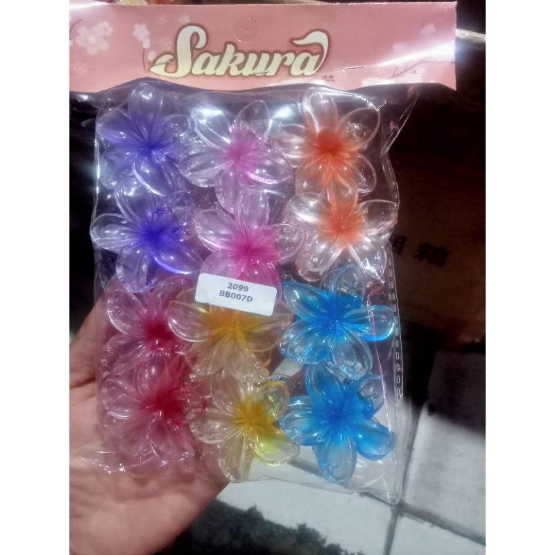 

Kamboja tanggung isi 12 pcs satu pak