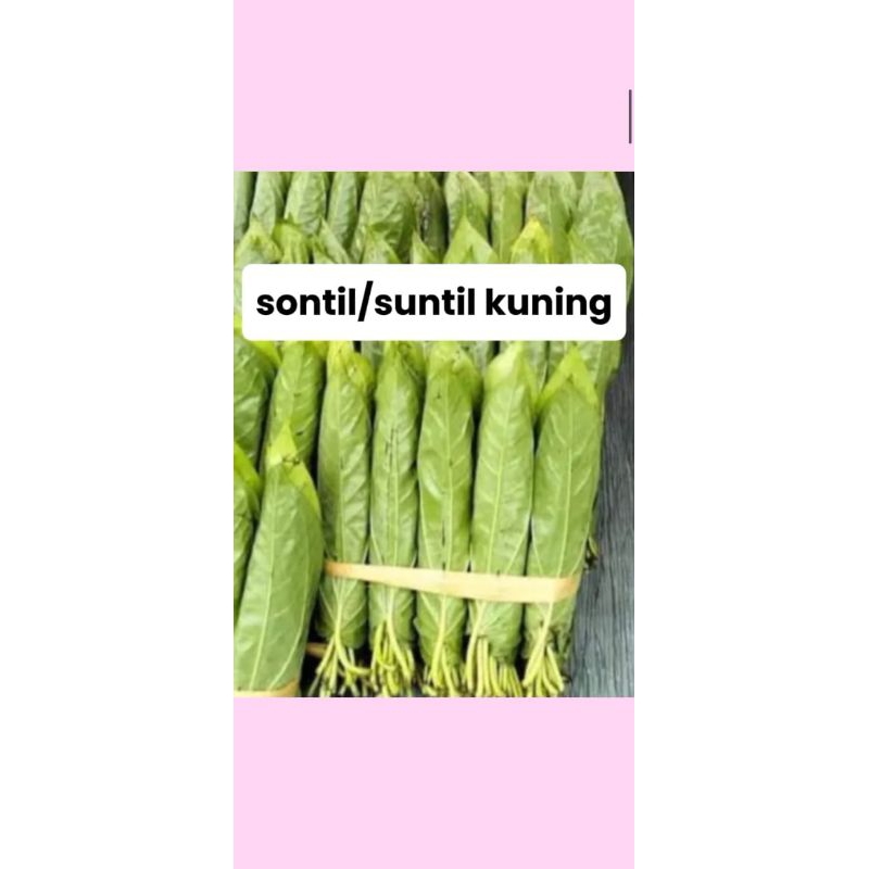 

sontil gersing/kuning 100g