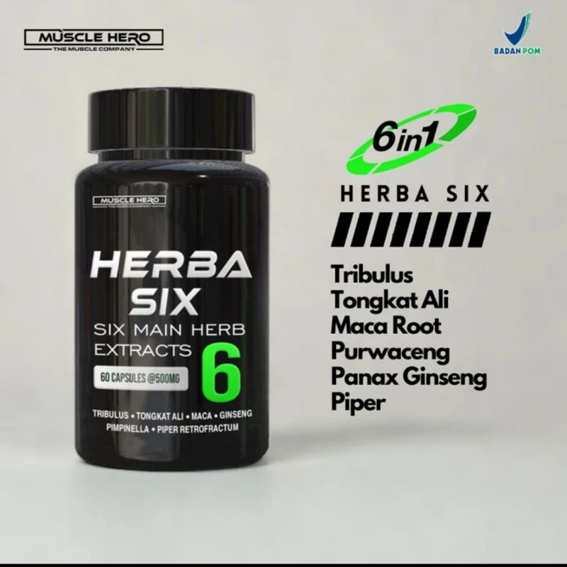 MUSCLE HERO HERBA SIX 60 CAPS BPOM HALAL TESTO BOOSTER - TRIBULUS TONGKAT ALI MACA PURWACENG PIPER P