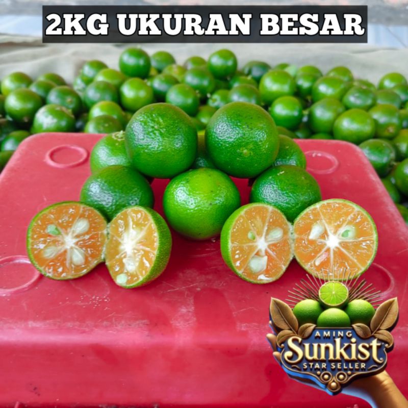 

2kg jeruk peras sonkit jeruk kasturi jeruk kunci (ukuran besar)