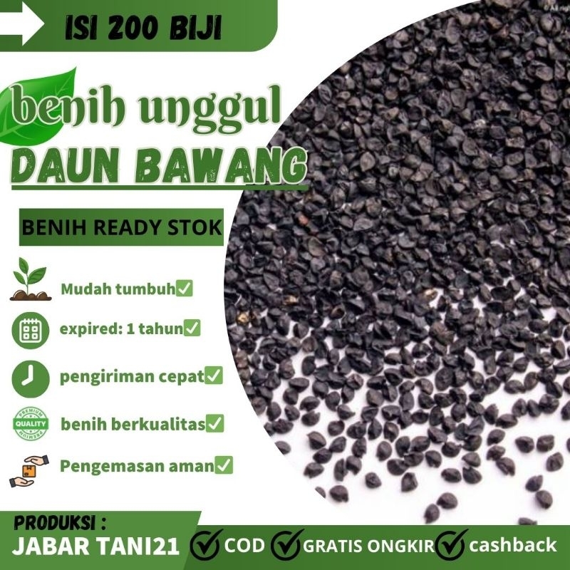 200 biji- BENIH BIJI BAWANG DAUN|BENIH DAUN BAWANG UNGGUL
