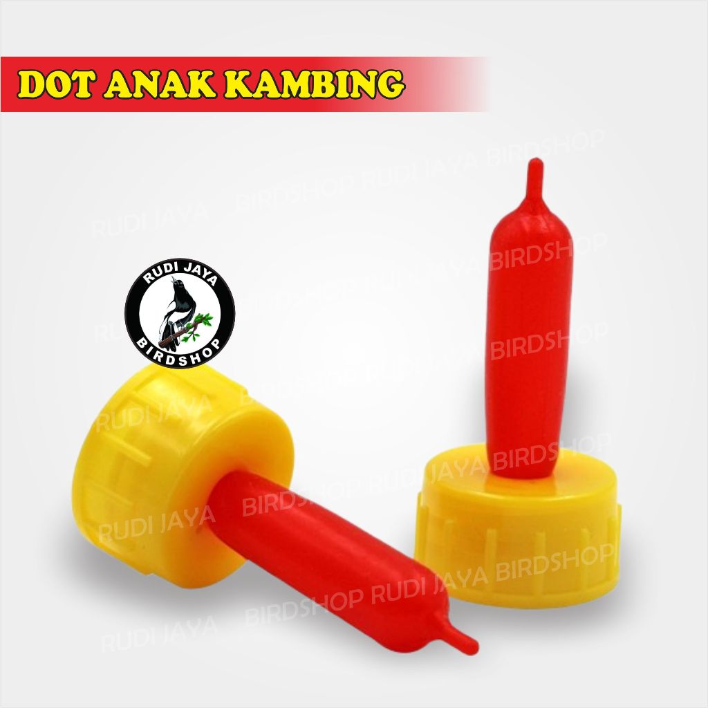 DOT ANAK KAMBING CEMPE KECIL UNTUK ANAK KAMBING DOMBA MEMBANTU MINUM SUSU