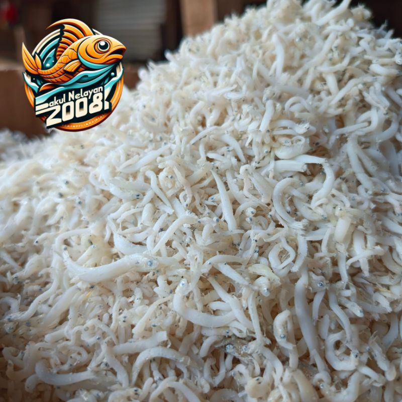 

Teri medan super | ikan teri medan