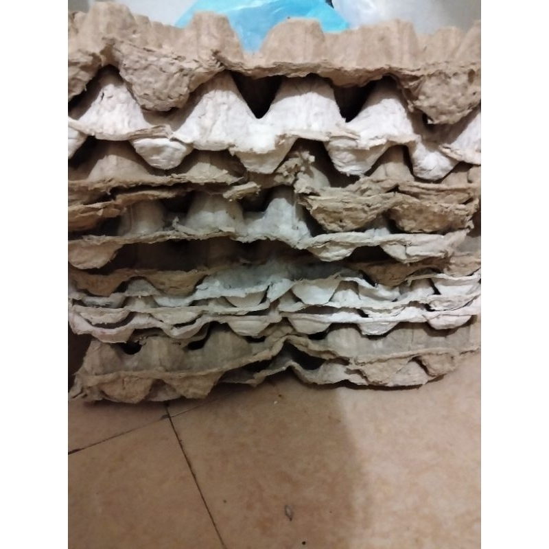 semua yang di foto Tempat telur karton bekas / egg tray rak telur