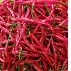 

cabe merah keriting 250 gram