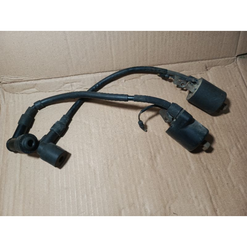 Koil Tiger 2000 Tilam Tilas Ori Copotan