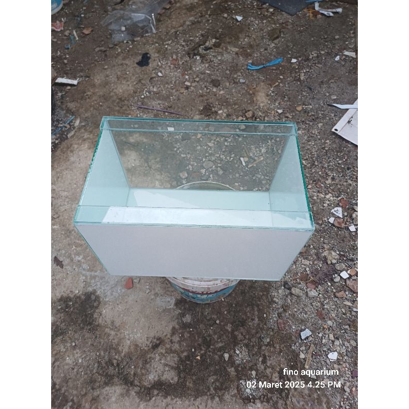 aquarium kaca 40x25x25 full backgroun
