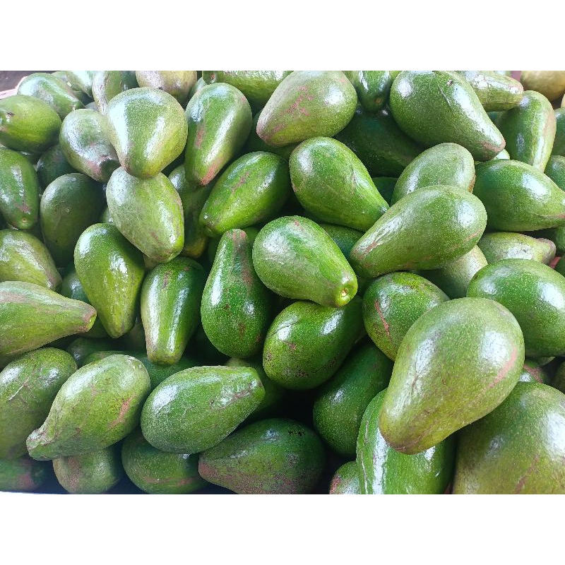 

alpokat Singkawang isi mentega buah super