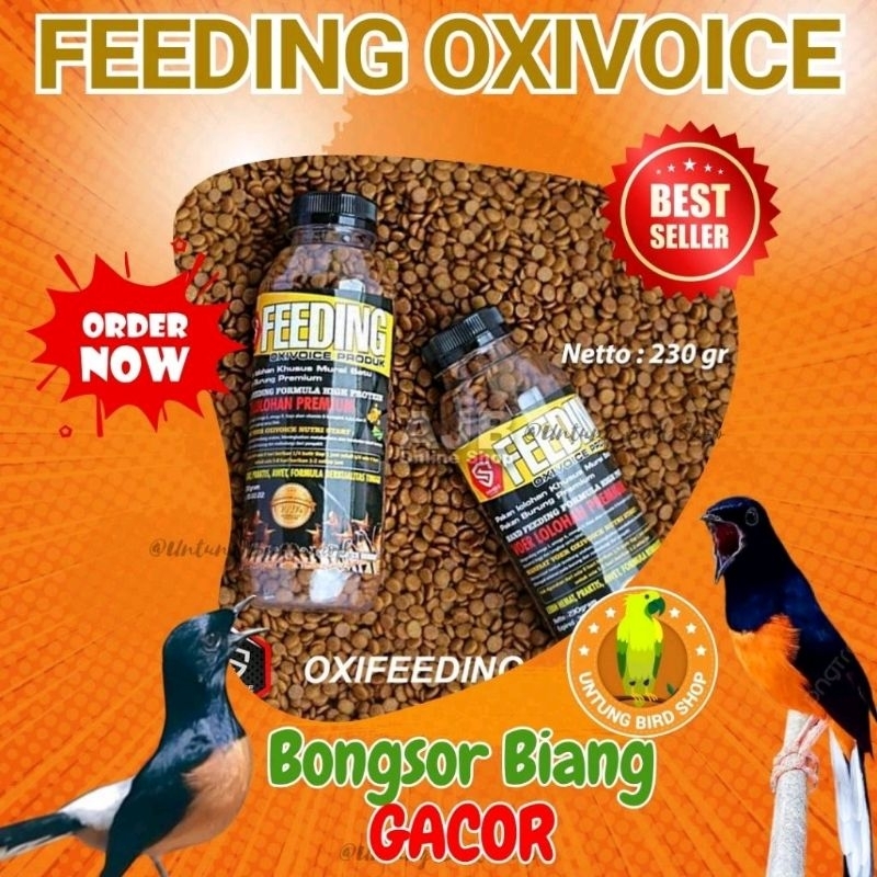 TERBAIK Oxivoice Hand Feeding. Pakan Lolohan Premium Murai Batu Yang Bagus. Bikin Gacor Makanan lolo