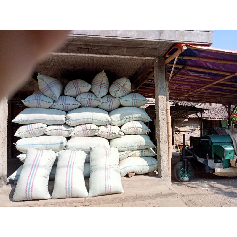 pakan kangkung kering 28 Kg (satu karung)/gadul/rendeng kangkung buat pakan kambing