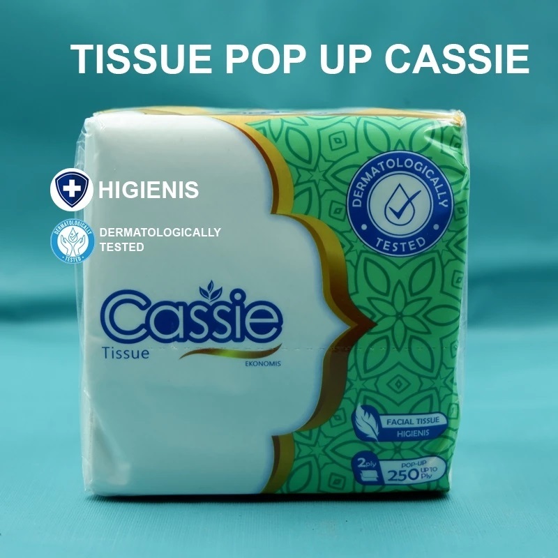 

TISSUE CASSIE Tissue Pop Up / Belah 250 PLY (10 PACK)